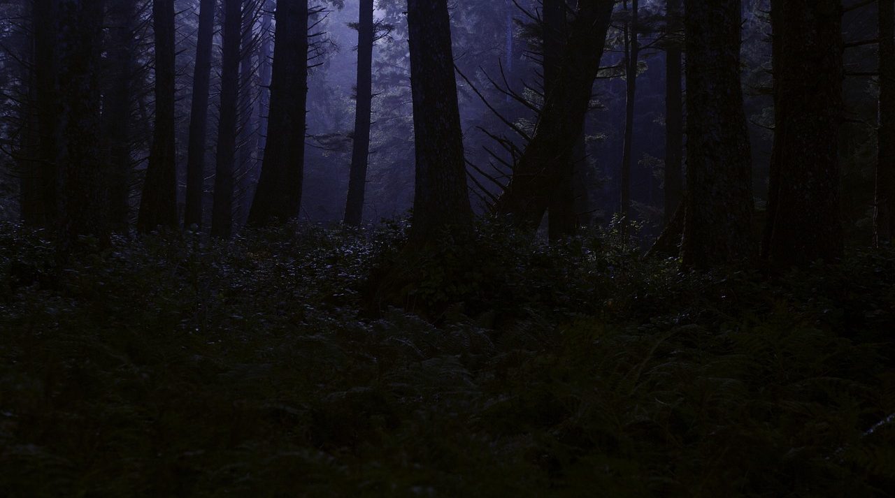 Frama Visits Terminal